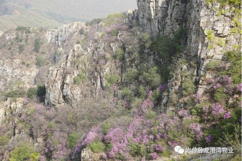 首页- 尊龙集团中国官网入口