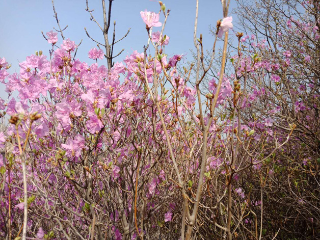 首页- 尊龙集团中国官网入口